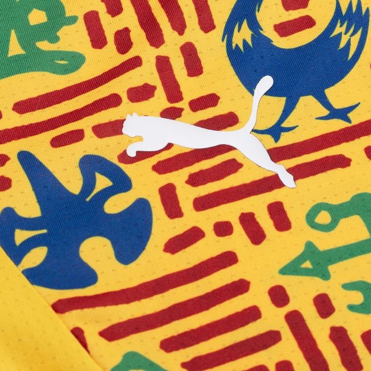 Ghana Entrenamiento Camiseta 2025/26