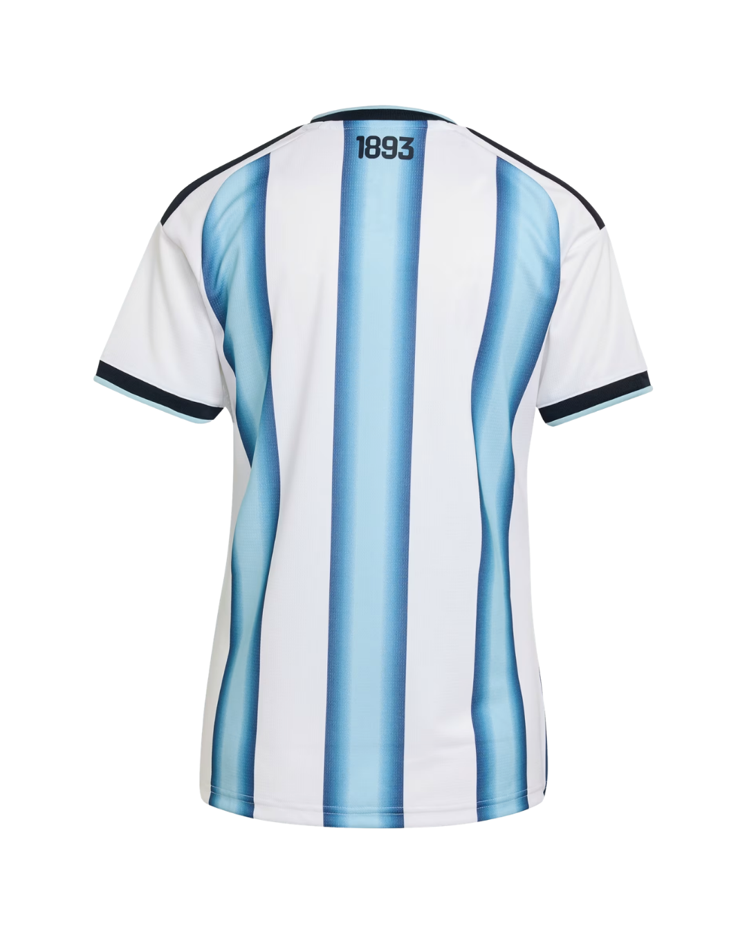 Argentina Mundial Camiseta Local 2026 - Mujer