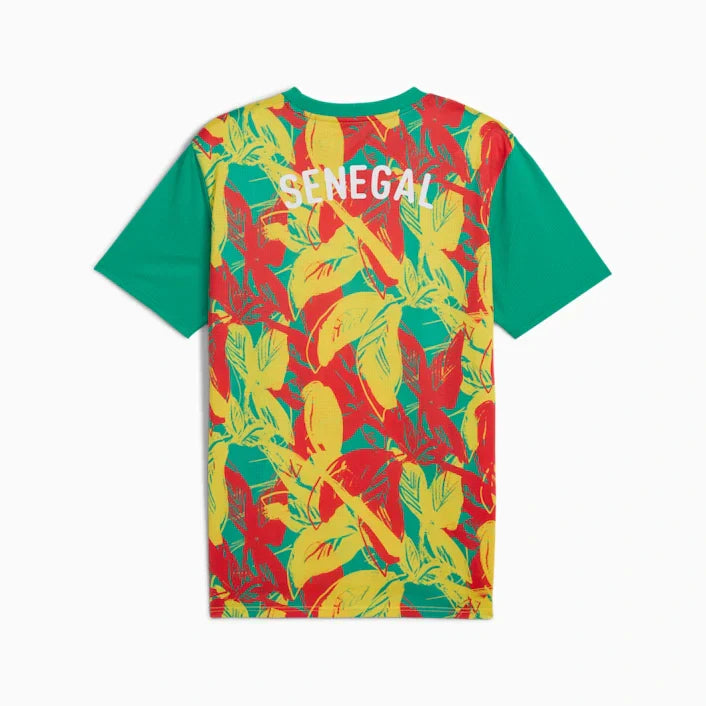 Senegal Pre-Partido Camiseta 2025