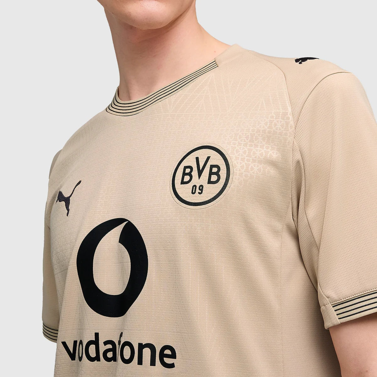 Borussia Dortmund - Centenary Goalkeeper 25/26 Jersey